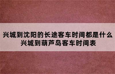 兴城到沈阳的长途客车时间都是什么 兴城到葫芦岛客车时间表